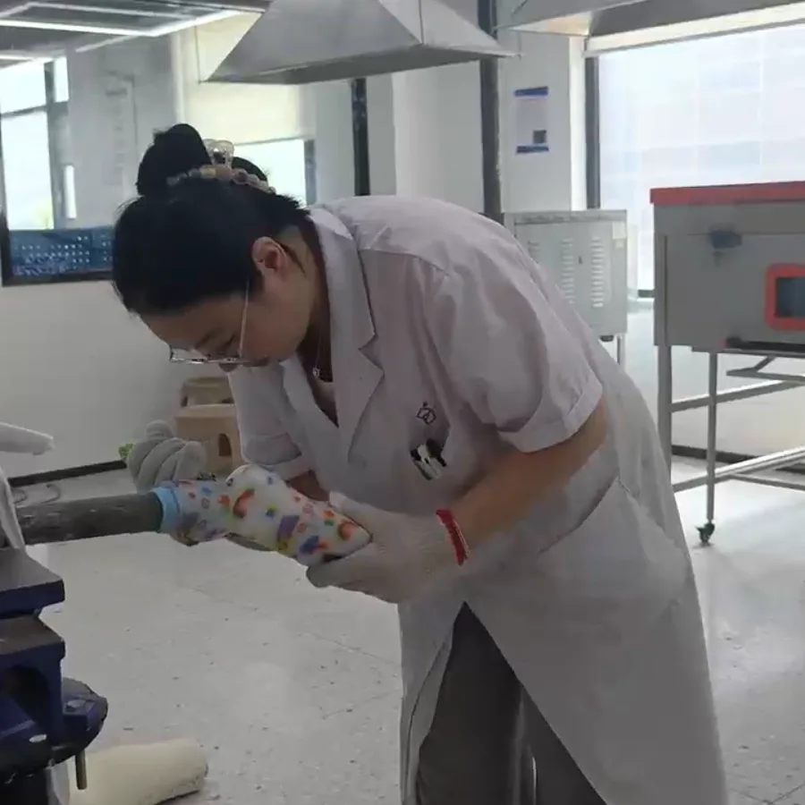 Lower-Limb Prosthetic Product Series | Pinkang Mobility